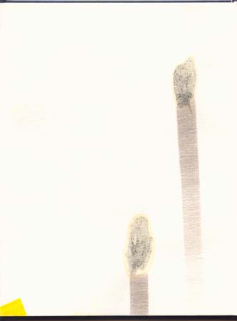 MV_11-13